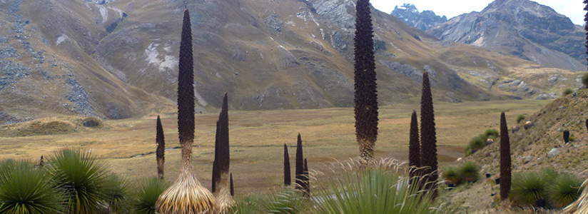 Peruvian Mountains