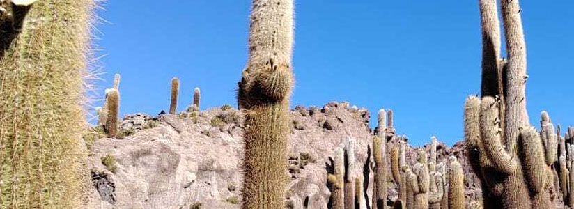 Peruvian Mountains